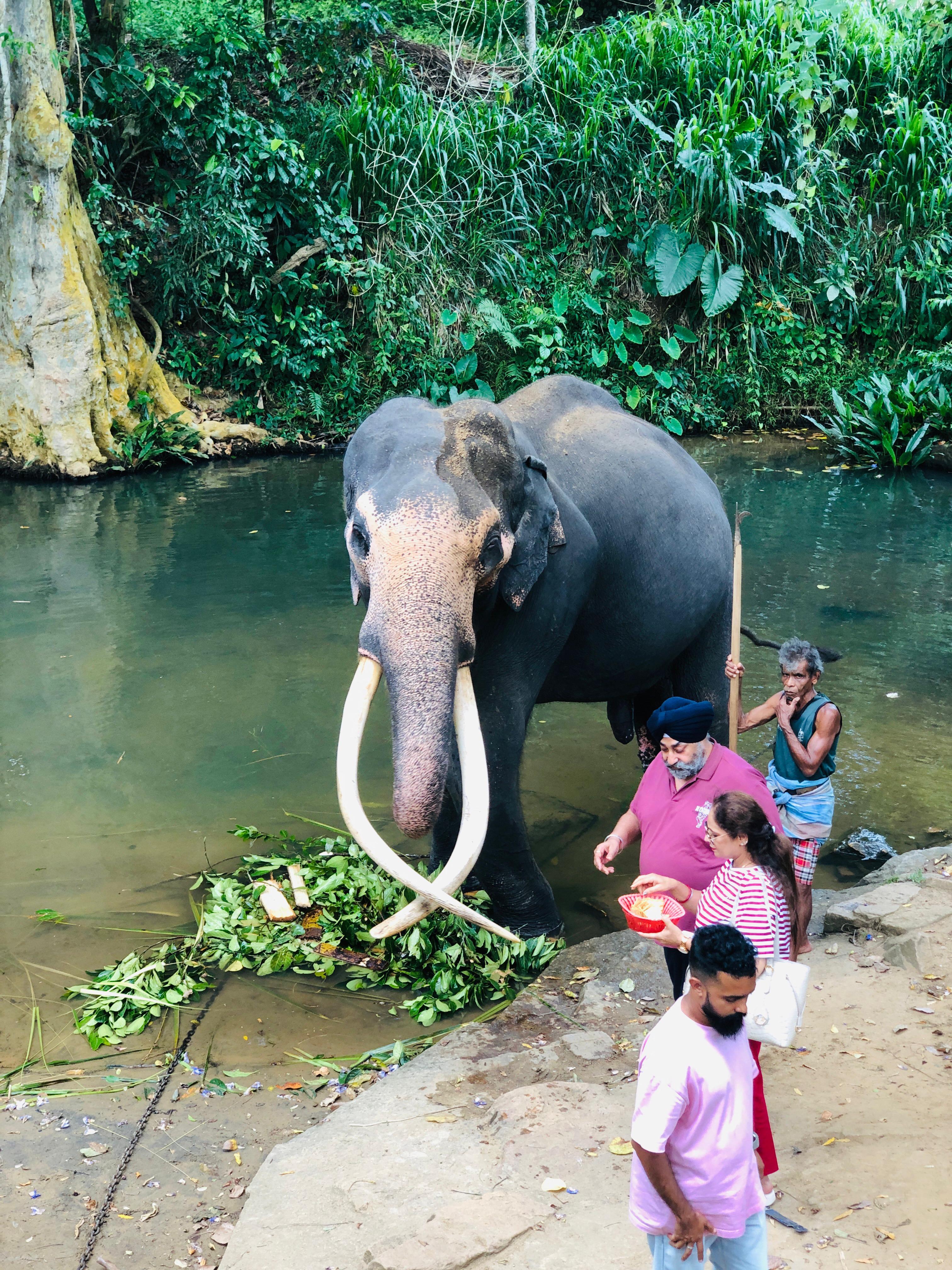 Guest photo 3