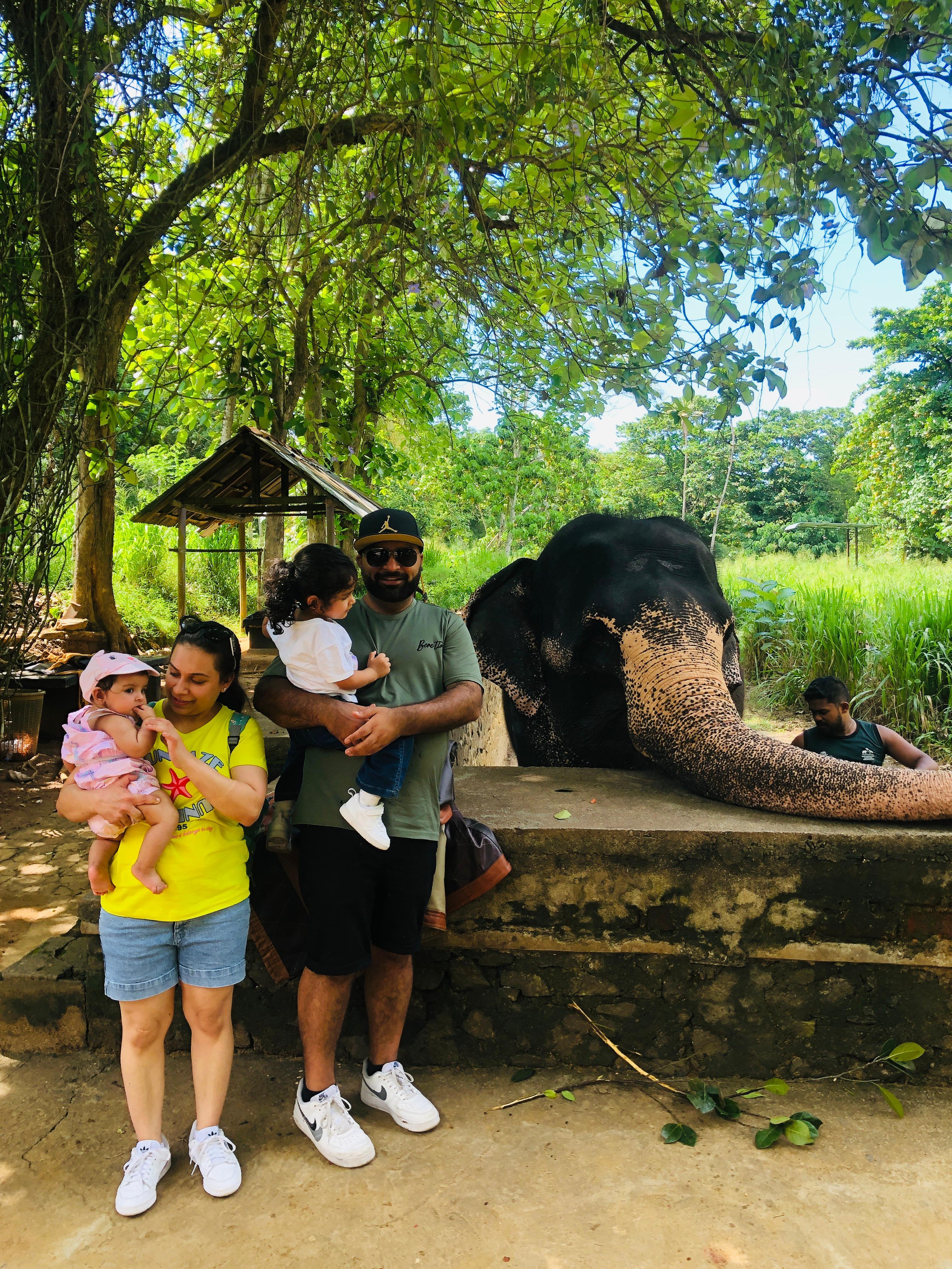 Guest photo 12
